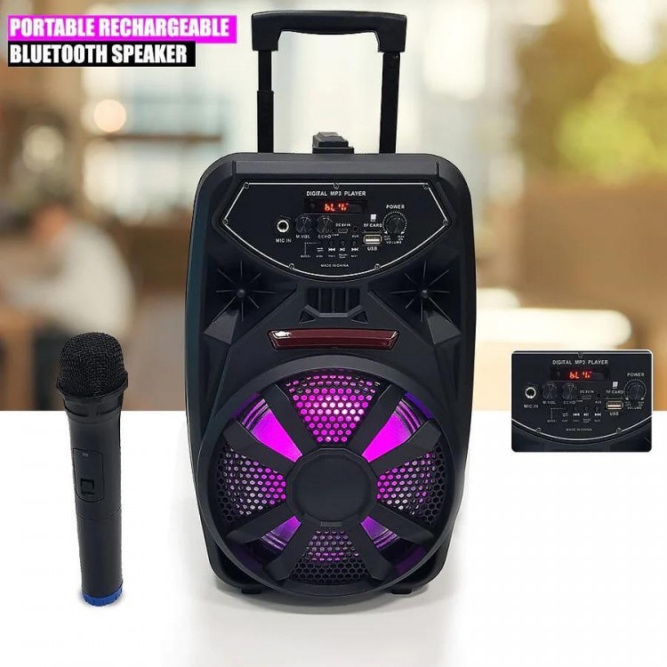 Караоке колона PK-09L 300W с микрофон